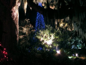 DSCF6447