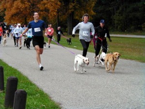 Canine 5K