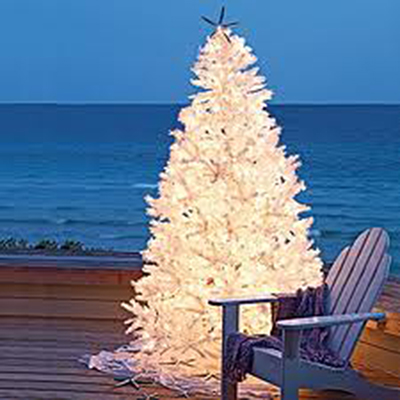 Myrtle Beach Christmas Events