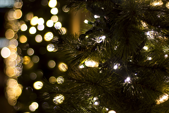 Greenfield-Lake-Tree-Lighting-and-Holiday-Movie