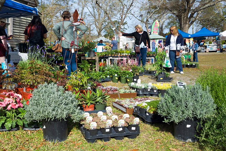 tours of wilmington nc